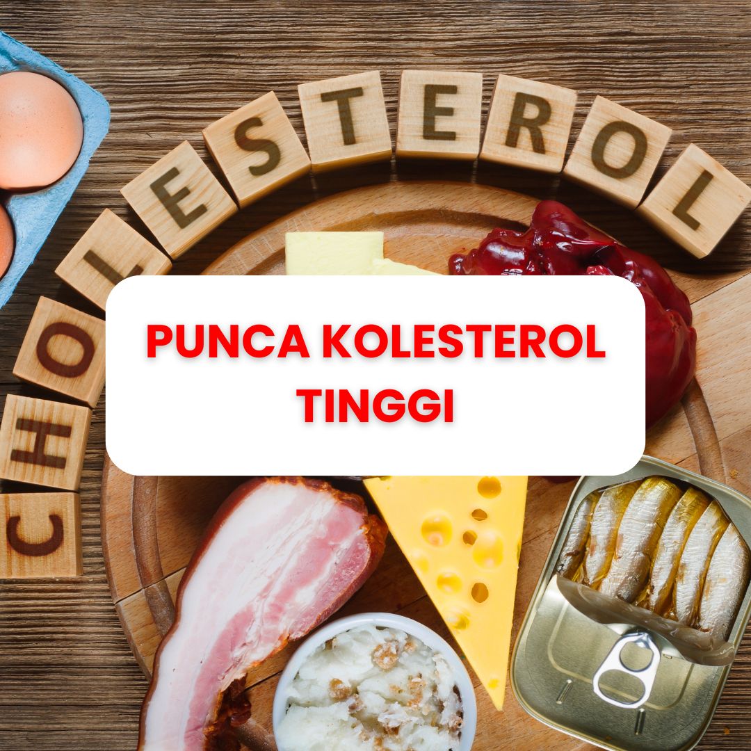 punca kolesterol tinggi